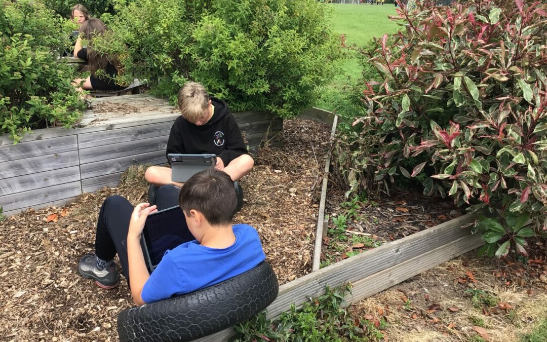 Enjoying outdoor learning spaces