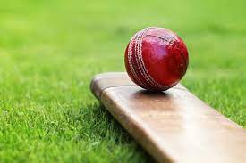 Cricket Report