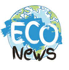 Eco Newsletter #4